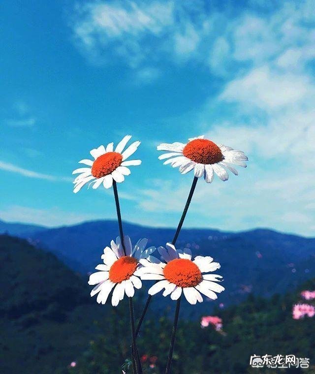 你知道那些为人处世的名言名句?