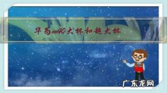 华为m40大杯和超大杯，8+512和12+256，怎么选？