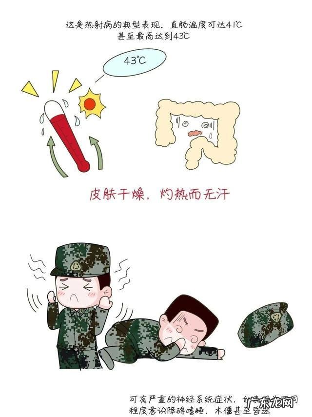 热射病导致死亡的原因