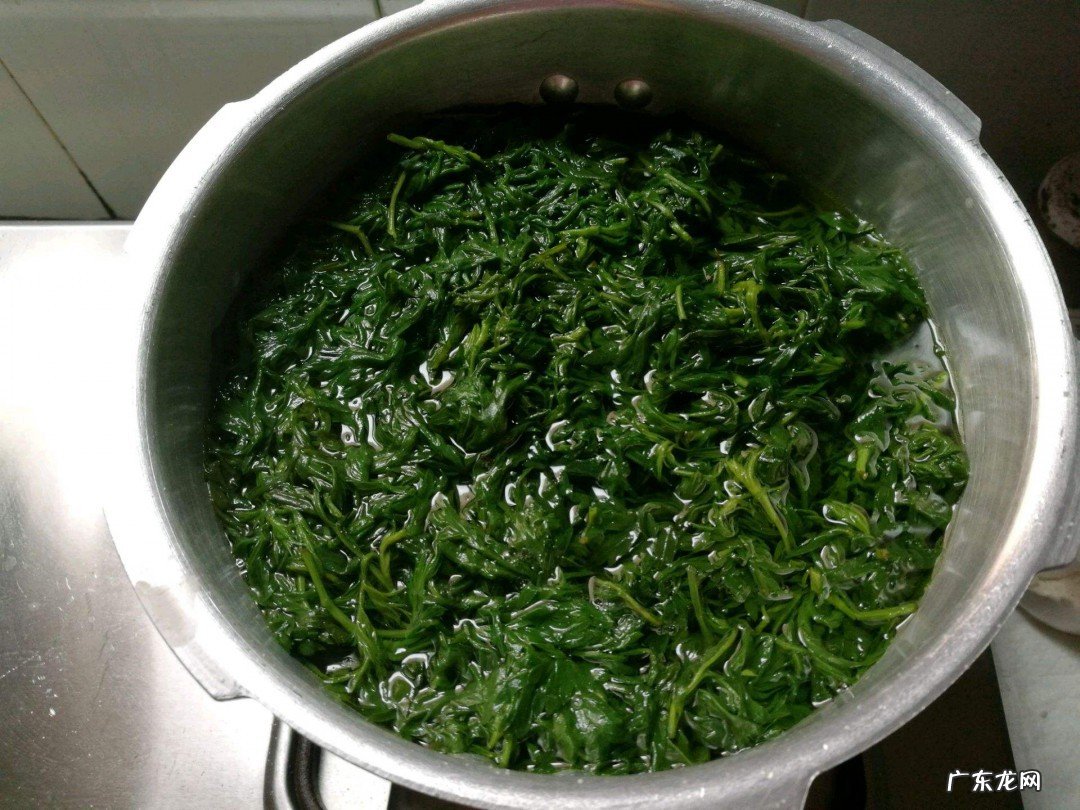 艾叶发苦怎么处理