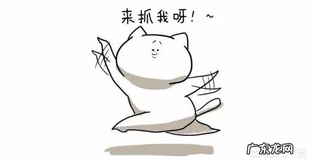 端午节过节大家吃什么？