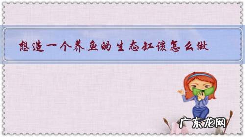 做一个生态鱼缸需要什么材料 想造一个养鱼的生态缸该怎么做？