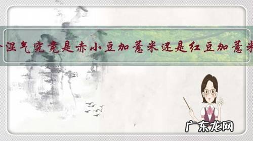 去除湿气究竟是赤小豆加薏米还是红豆加薏米?