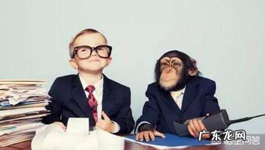 职场面试技巧有哪些？