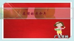 属猪人一辈子命怎么样 属猪的本命年，大家过得怎么样？