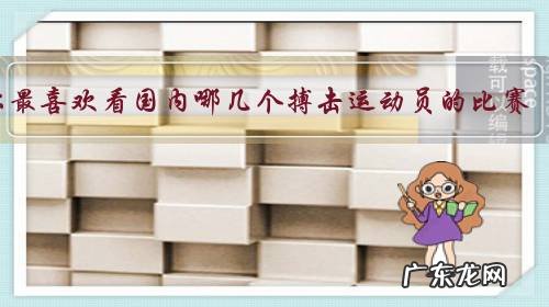 你最喜欢看国内哪几个搏击运动员的比赛?