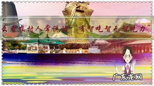 怎么看农村人常说的“有智吃智无智吃力”?