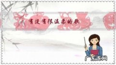 有没有很温柔的歌，像日落一样温柔？