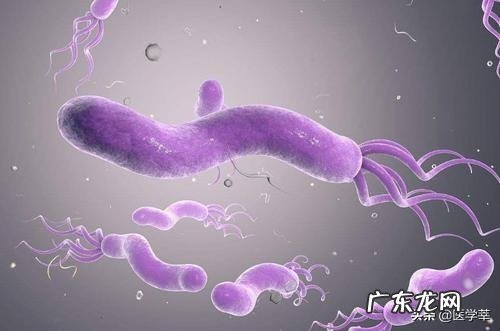 体检报告说我幽门螺旋杆菌有点高,但是我没什么感觉,很严重吗