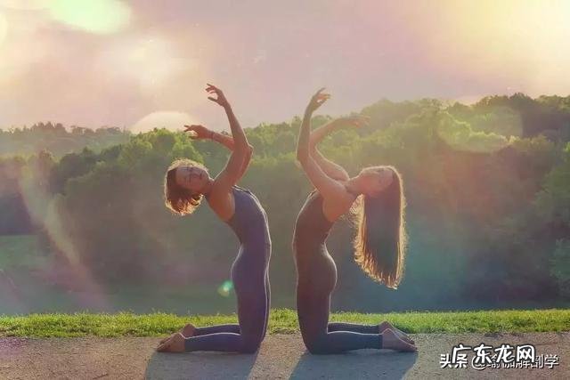 阴式瑜伽和阳式瑜伽代表体式