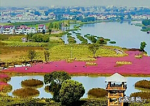 江苏的地ji市哪里最适合生活