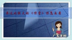 电视剧惊雷 最近比较火的《惊雷》你怎么看？