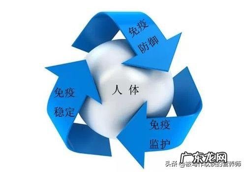 机体自身的“免疫力”是如何消灭病毒和细菌的