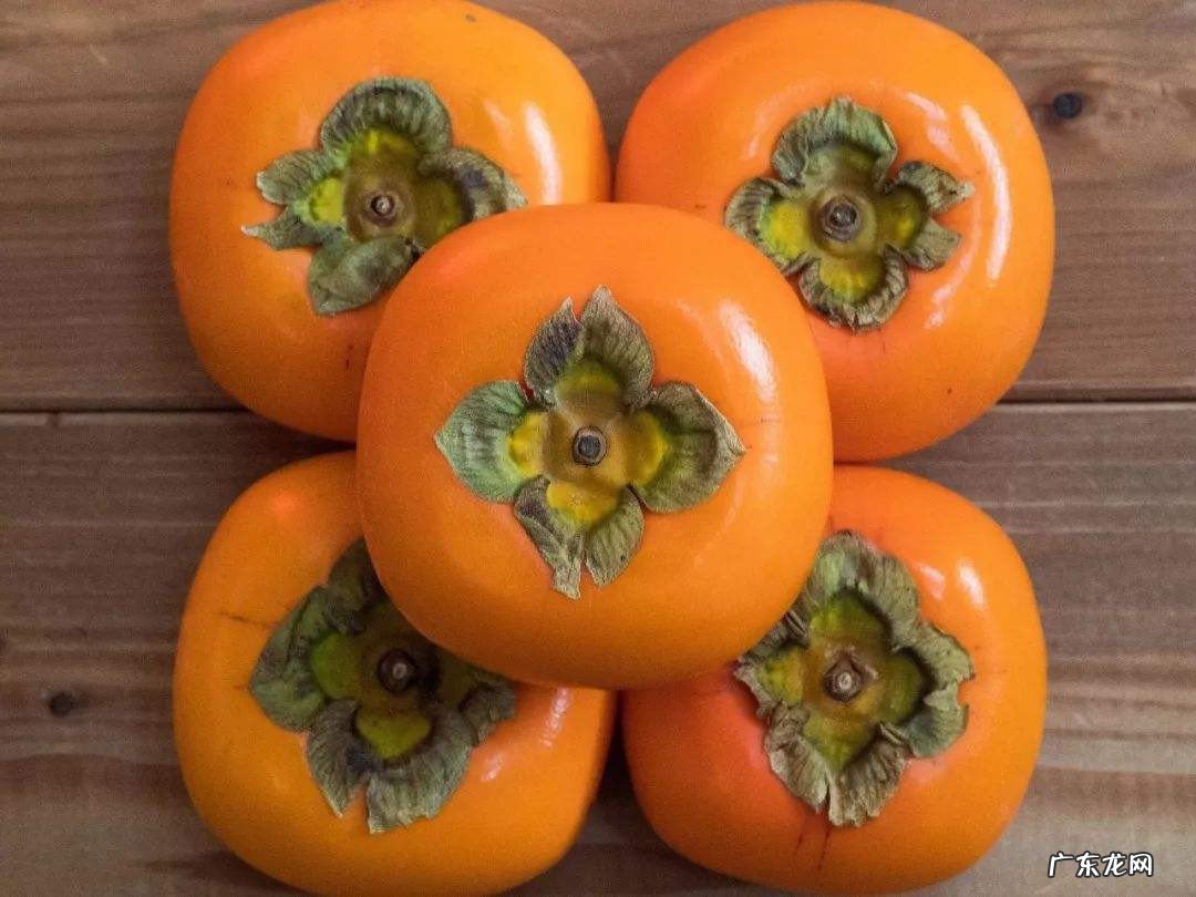 橘子和柿子能一起吃吗