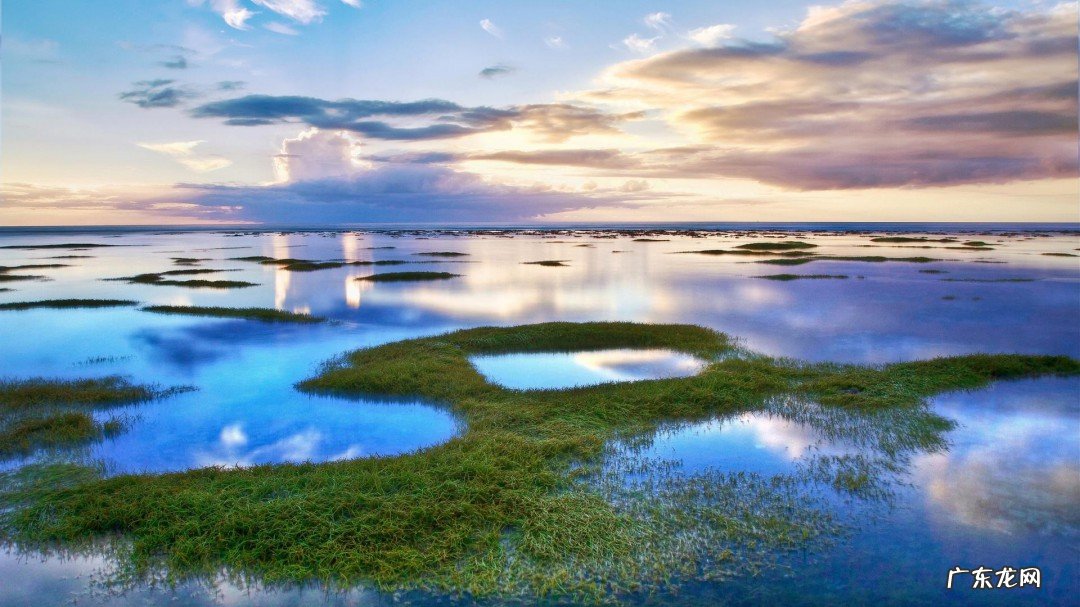 生活的最经典语录