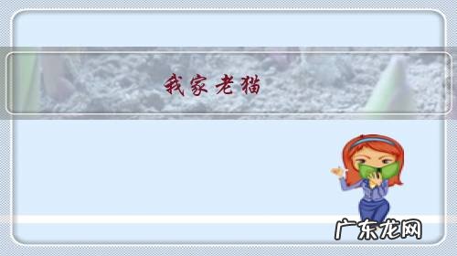 我家老猫,最近老是乱撒尿,怎么办?