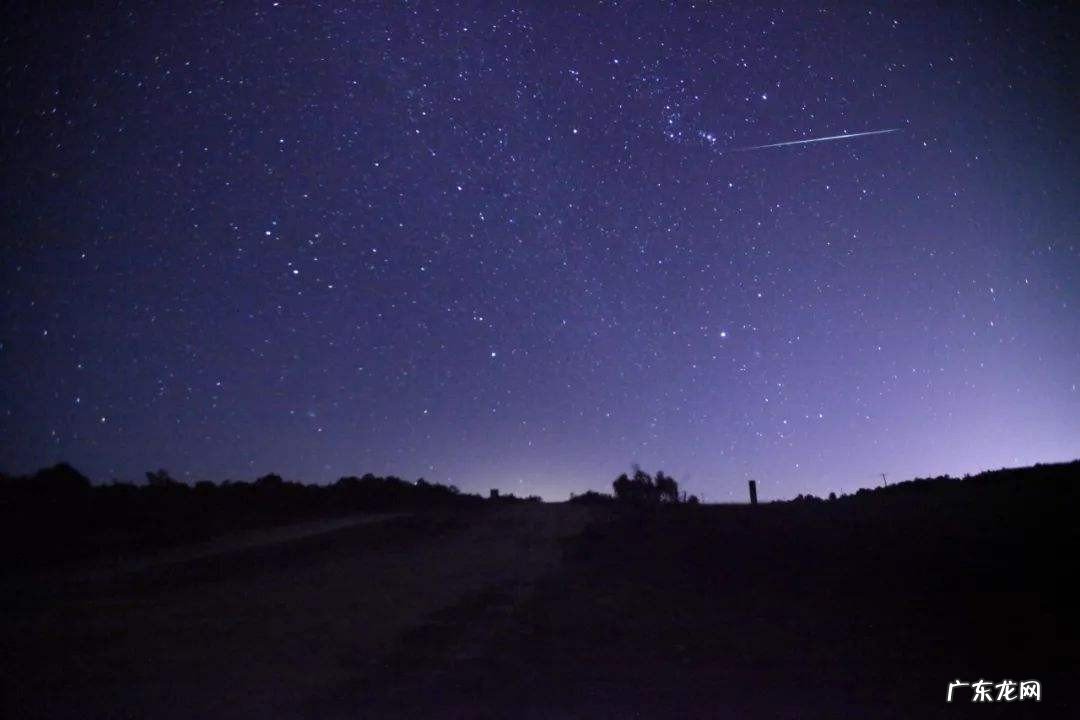 双子座在天空哪个位置