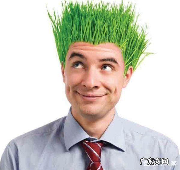 三十出头好多白发,有什么好办法养发护发