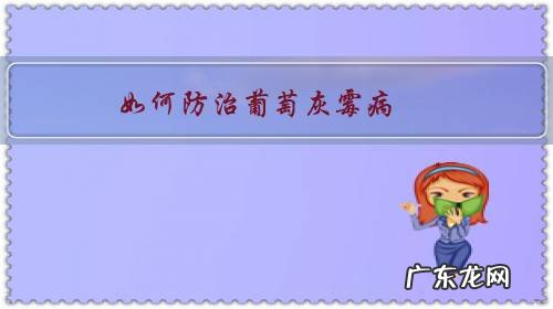 如何防治葡萄灰霉病 如何防治葡萄灰霉病?