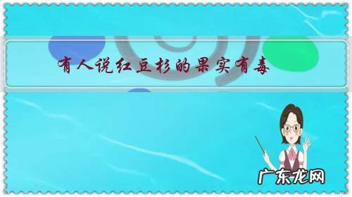 有人说红豆杉的果实有毒,为什么有的人从小吃到大也没中毒?
