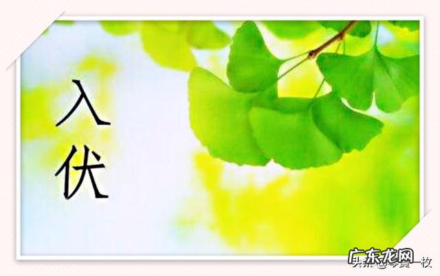 已经开始入伏了,农村老人常说的“入伏三准三不准”指的是什么