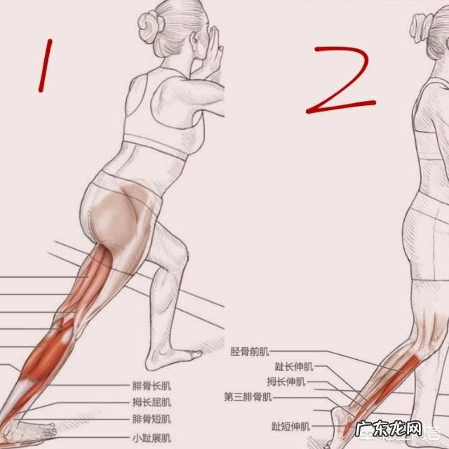 什么动作可以在运动后有效地拉伸小腿,避免肌肉腿