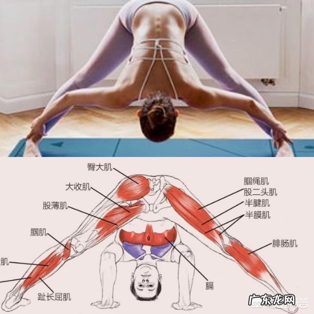 什么动作可以在运动后有效地拉伸小腿,避免肌肉腿