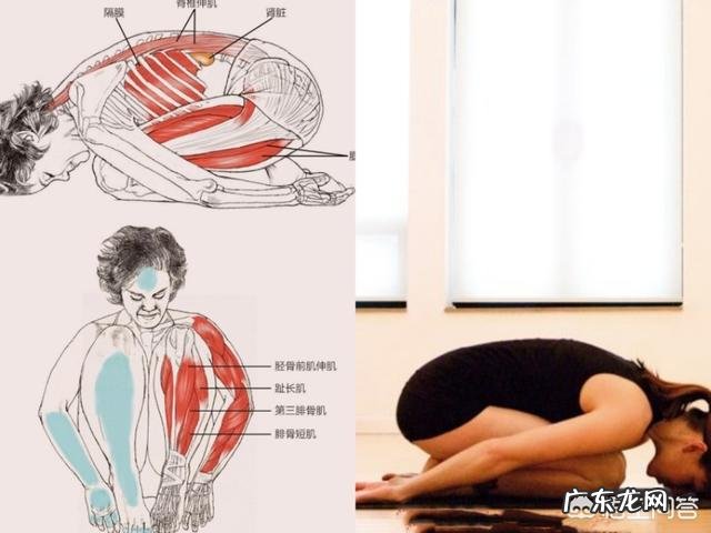 什么动作可以在运动后有效地拉伸小腿,避免肌肉腿