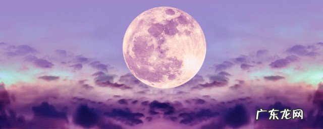 中秋手抄报内容大全