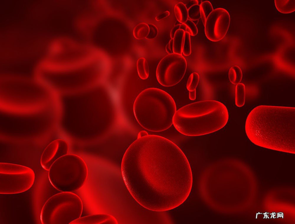 血浆和血的区别