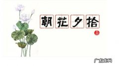 朝花夕拾中提到衍太太的几件事