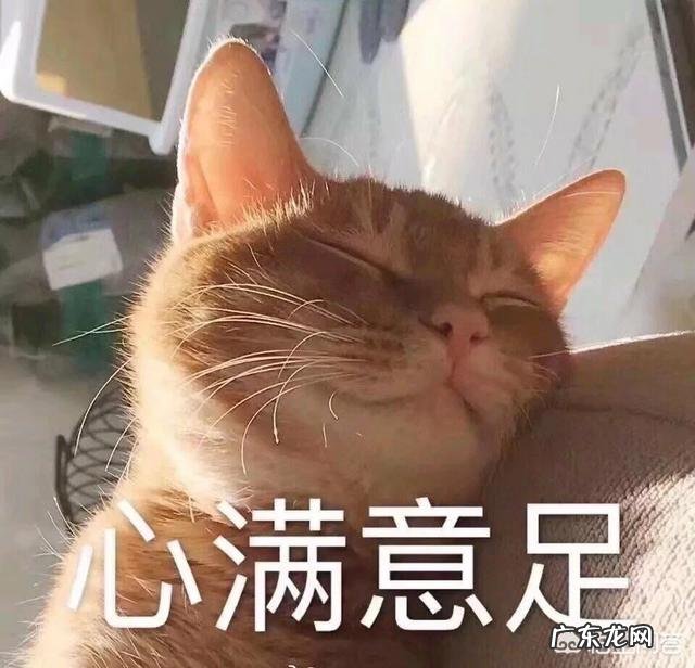 经常掉头发且头发干枯,静电很大,该怎么护理