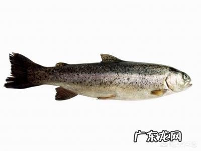 吃鱼油到底对身体有什么好处