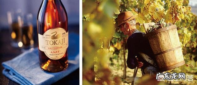 干红葡萄酒中的“干红”是什么意思