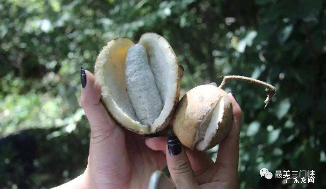 八月炸是什么味道