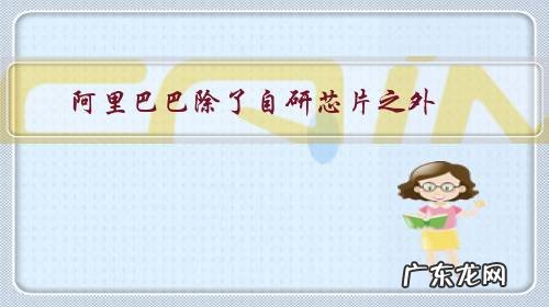 阿里巴巴除了自研芯片之外，还有哪些自研的黑科技？