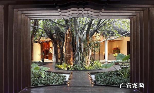 男士spa是做什么的,和洗浴中心有啥区别