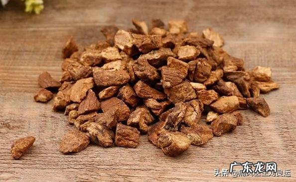 为什么有人说菊苣可以缓解痛风真的有用吗