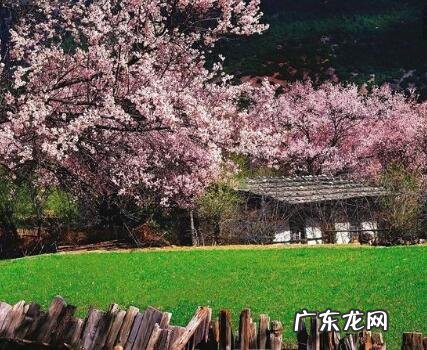 走桃花运是什么感觉呢?