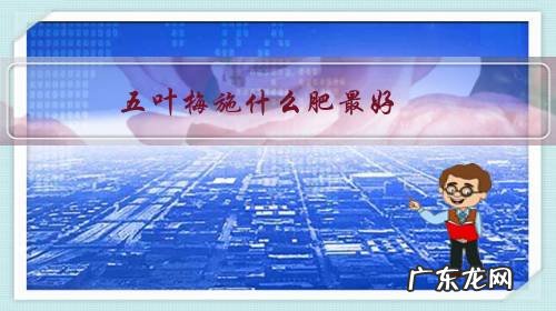 五叶梅怎样施肥 五叶梅施什么肥最好?