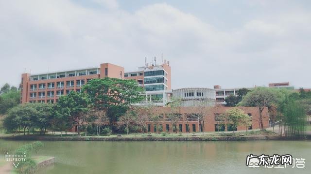 华南理工大学、暨南大学,哪一个的专业设置更加广泛?