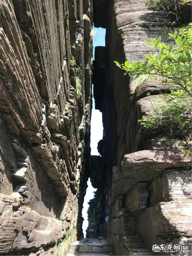 怎样不断的提升自己的智力?