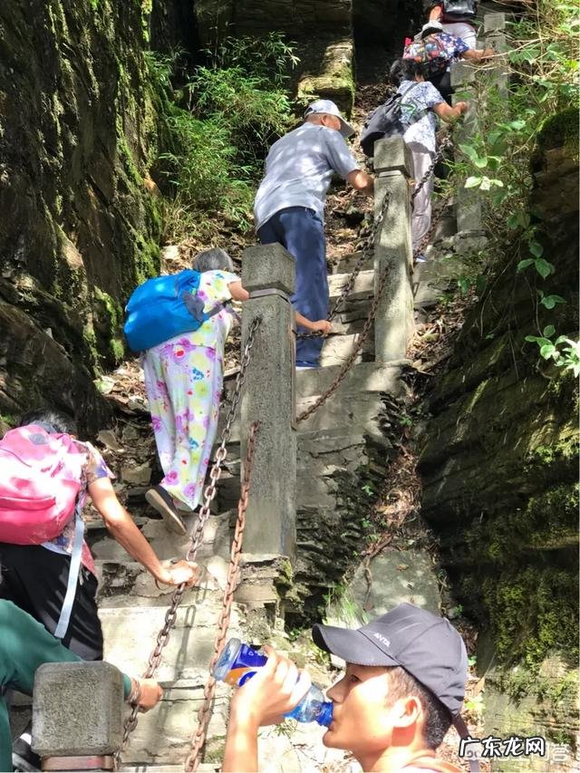 怎样不断的提升自己的智力?