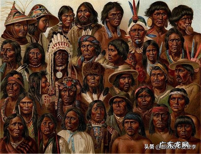 历史上，造成美洲印第安人几近灭绝的主要原因是什么