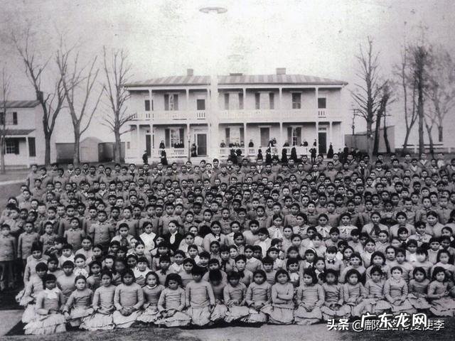 历史上，造成美洲印第安人几近灭绝的主要原因是什么