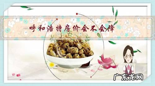 呼和浩特明年房价会涨吗 呼和浩特房价会不会降?