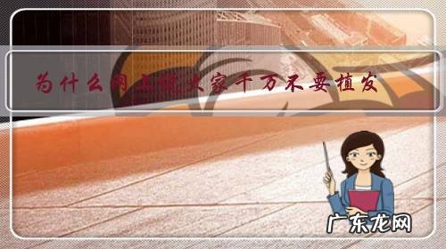 为什么不去植发 为什么网上说大家千万不要植发?