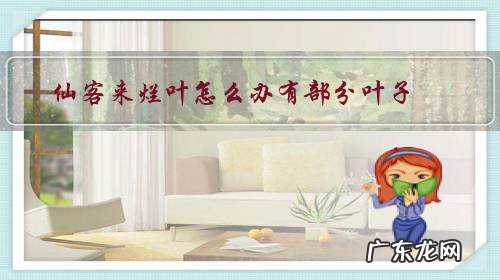 仙客来烂叶怎么办有部分叶子?