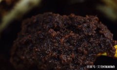 阿胶红糖姜糕怎么做