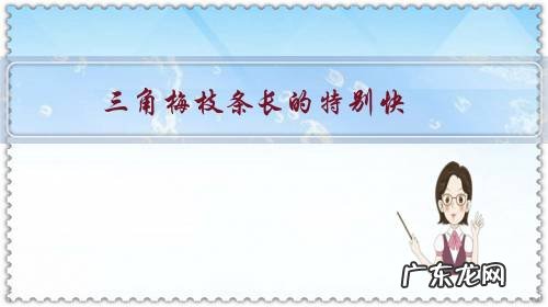 三角梅枝条长的特别快,但是不开花,怎么办?